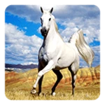 Logo of Horse Live Wallpaper android Application 