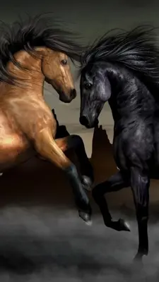 Horse Live Wallpaper android App screenshot 2