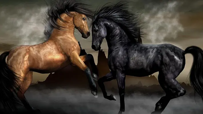 Horse Live Wallpaper android App screenshot 6